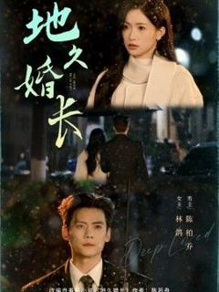 免费在线观看完整版短剧《地久婚长》