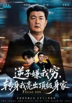 免费在线观看完整版短剧《逆子嫌我穷，转身我亮出顶级身家》