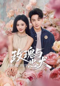 免费在线观看完整版短剧《玫瑰与忠犬》