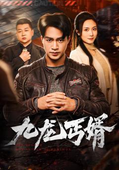 免费在线观看完整版短剧《九龙丐婿》