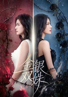 免费在线观看完整版短剧《金银双姝》