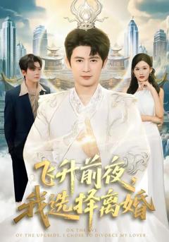 免费在线观看完整版短剧《飞升前夜，我选择离婚》