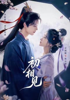 免费在线观看完整版短剧《初相见》