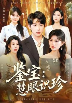 免费在线观看完整版短剧《鉴宝：慧眼识珍》