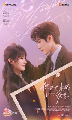 你是迟来的欢喜（2026）