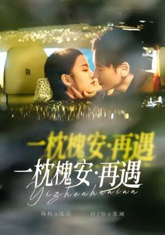 免费在线观看完整版短剧《一枕槐安：再遇》