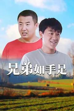 免费在线观看完整版国产剧《兄弟如手足》