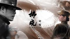 免费在线观看《拂晓计划》