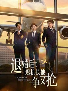 免费在线观看完整版短剧《退婚后，迟机长他争又抢》