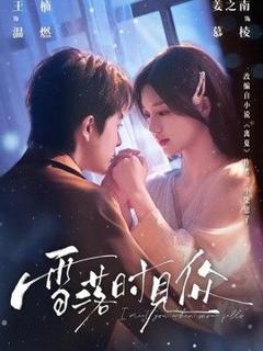 免费在线观看完整版短剧《雪落时见你》