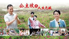 公主坡之人生无憾